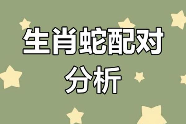 属蛇人配对姻缘