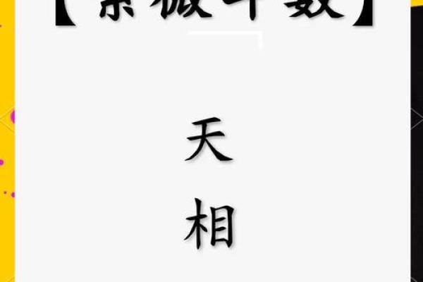 善良的紫薇斗数