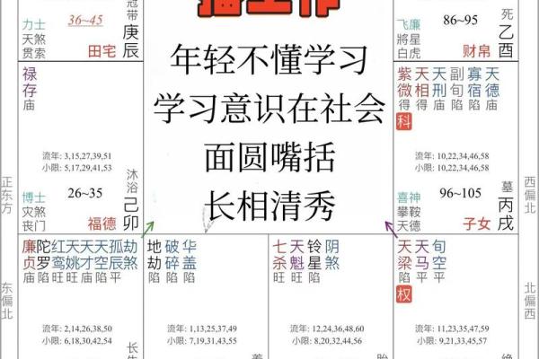 善良的紫薇斗数