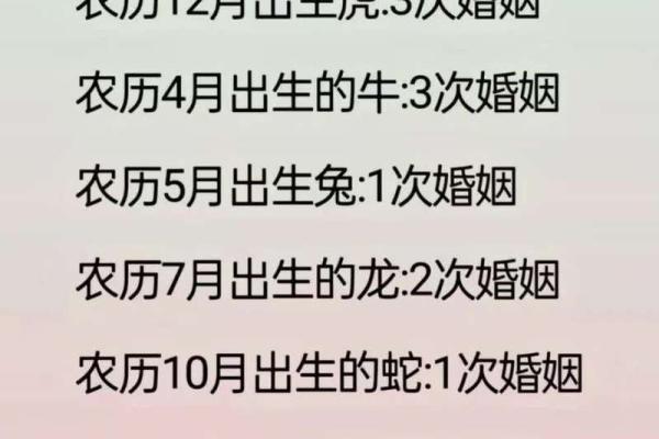 跟另一半姓名配对生日配对真的准吗？配对算命完整介绍