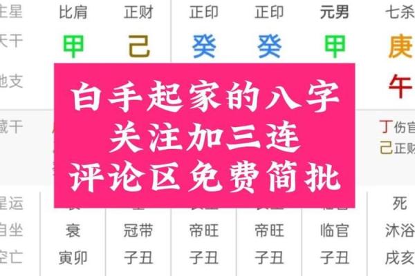 八字单项简批说明
