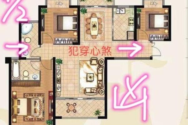 房子风水与精神病