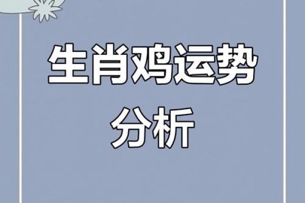 1981年属什么生肖配对