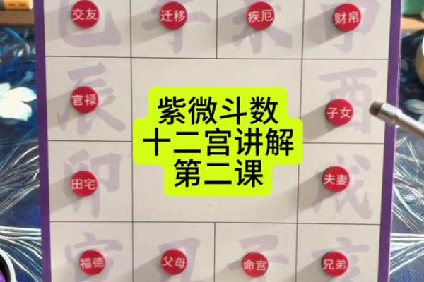 紫薇斗数宫位详解