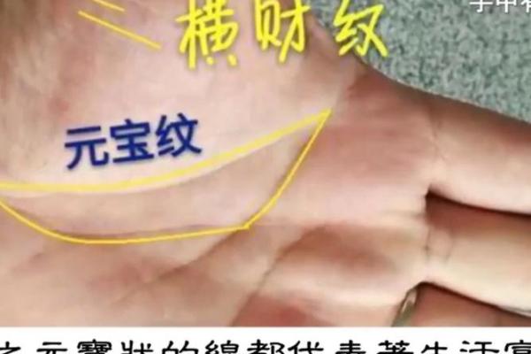 看手相算命：第五课 论健康