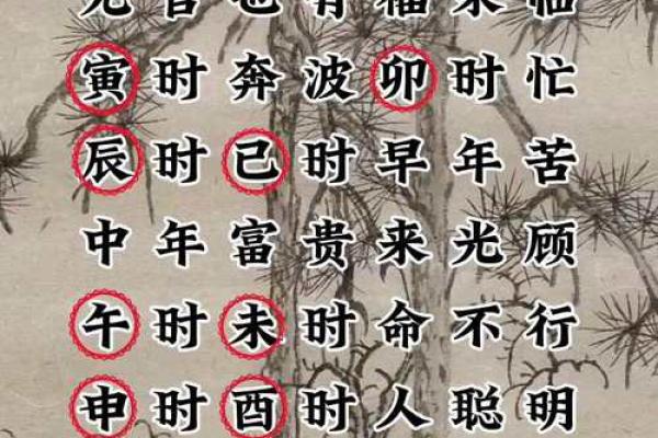 有生辰八字和照片