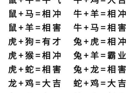 十二生肖婚配大全表 12生肖婚姻最佳配对表图片