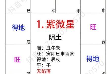 紫薇斗数各宫化