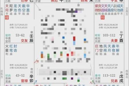 紫薇斗数子由