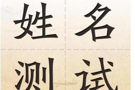 美名腾公司测名字打分测试