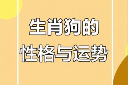 属狗和什么属相最配对 属狗和什么属相相冲