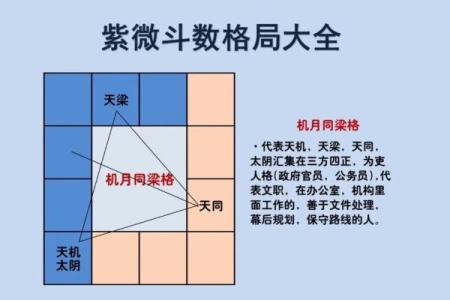 紫薇斗数真假