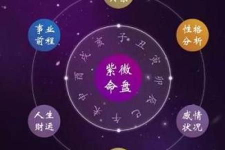 紫薇斗数视频合集
