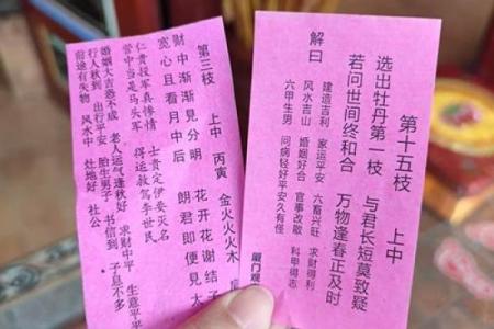 城隍灵签阴阳杯