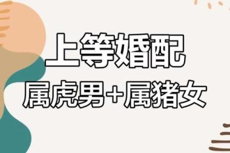生肖配对 属虎的女人和什么属相最配