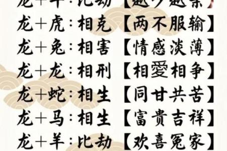 属龙的跟属龙的结婚属上等婚吗 配对要注意什么