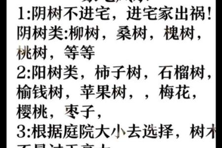 祖坟风水好见效快，如果你不知道可以看看这篇文章！