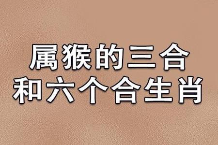生肖属猴和属猪合吗 相合配对指数查询