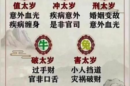 紫薇斗数太岁流年