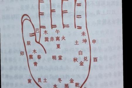 手相图解大全女右手算命 看手相算命图解女性右手