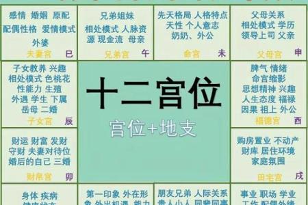 紫微斗数丨紫微斗数基础知识篇