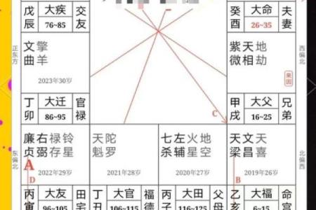 紫薇斗数兄弟代表