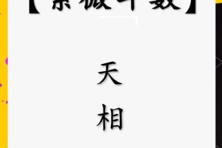 善良的紫薇斗数