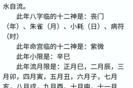 八字算命软件下载