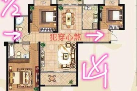 房子风水与精神病
