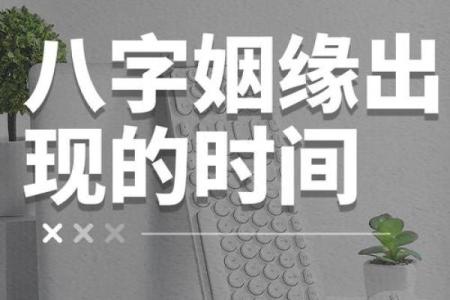 八字和姻缘 八字姻缘怎么看？