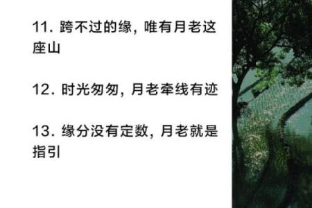 月老对你的姻缘说说短句 月老自己的姻缘？