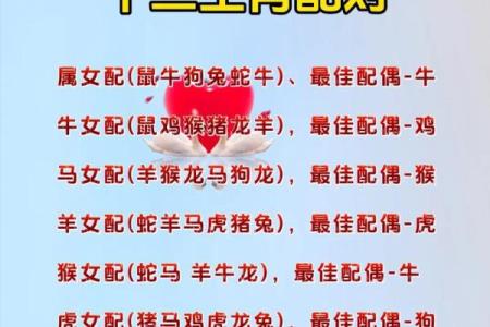 1981年属什么生肖配对