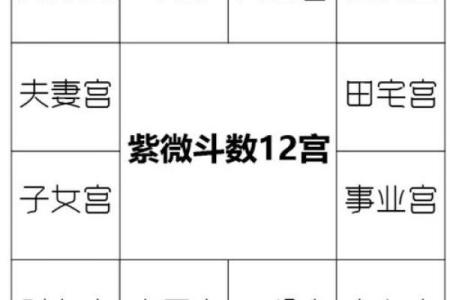 紫薇斗数官禄宫配偶