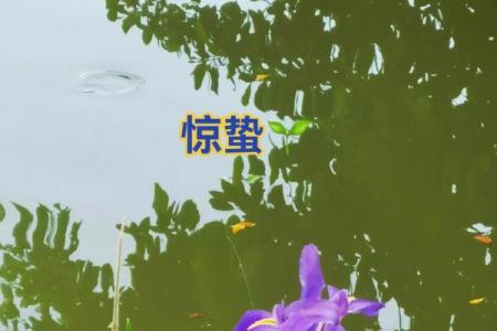 黄历惊蛰是什么意思,运气好命短