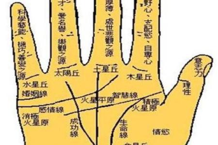 看手相算命：第五课 论健康