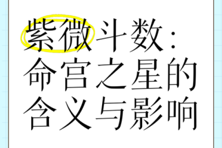 紫微斗数之各星曜所主行业：测本人能否选举上？