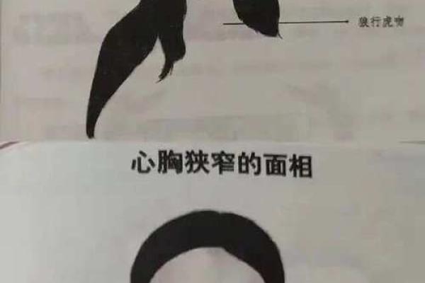 面相在线测试,在线扫一扫测面相