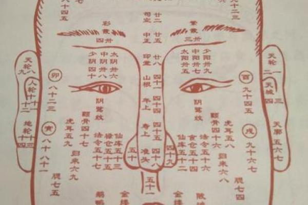 面相在线测试,在线扫一扫测面相