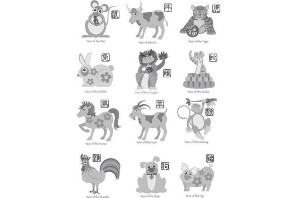 猪跟什么生肖配对最好 生肖猪最佳配对