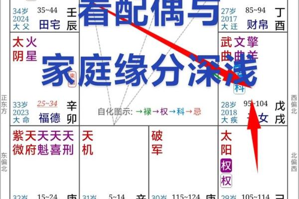 紫微斗数看上床 紫微斗数 床上？