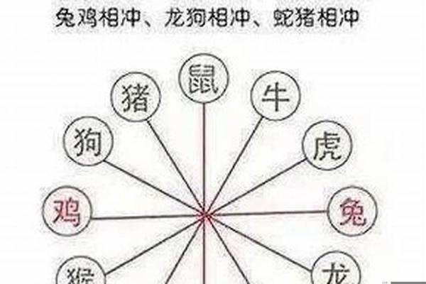 离婚风水命里有二婚的四个生肖有哪些