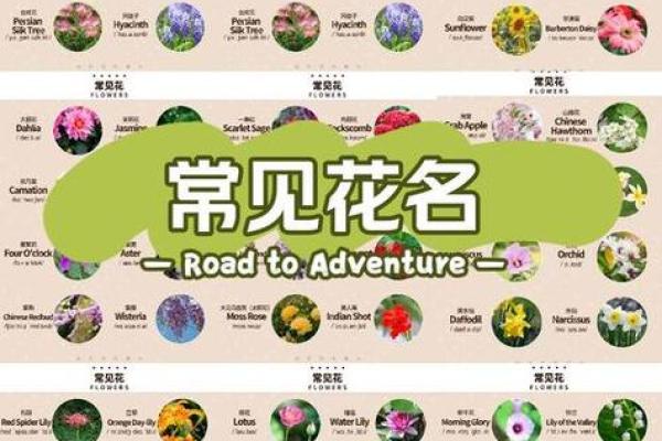 输入姓名配对情侣花名 输入名字配对情侣名？