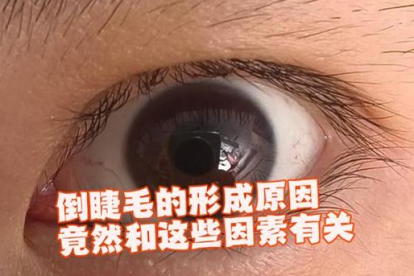 倒八字眼睛