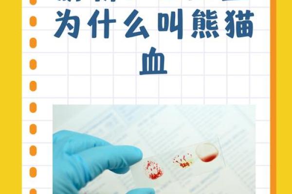 血型会影响怀孕吗- O型血的女性不易受孕