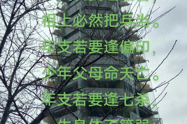 盲派八字断