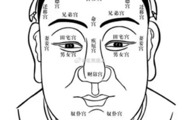 三角眉毛的面相算命图解