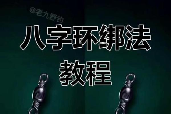 子八字环
