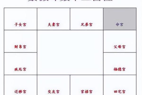 紫薇斗数明星盘