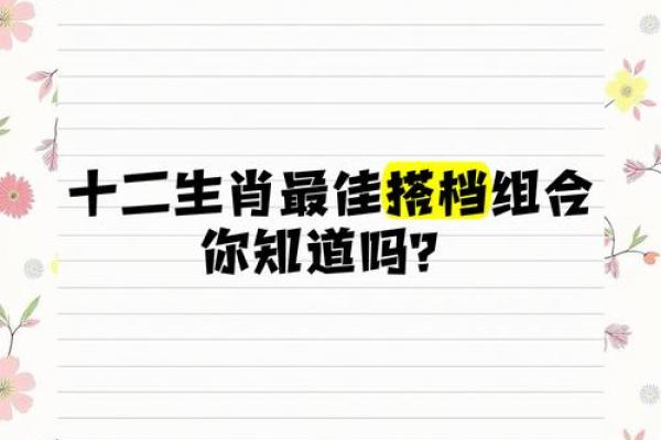属鼠和什么属相最配对 属鼠和什么属相相冲