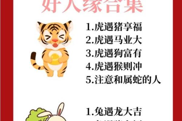 什么血型生肖最有前途